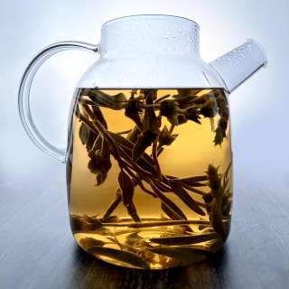 Greek Mountain Tea