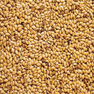 Pasteli-Greek Sesame Candy