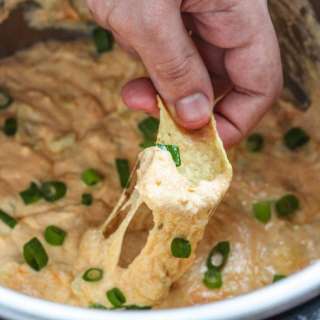 Hot Artichoke Dip in the Instant Pot