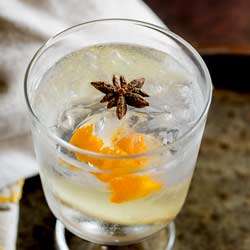 Ginger, Star Anise and Orange Gin and Tonic