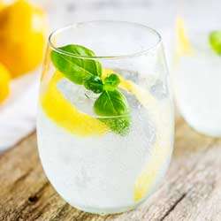 Lemon and Basil Gin and Tonic