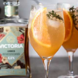 Grapefruit gin spritz