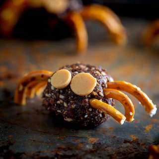Bliss Ball Bugs Recipe