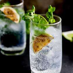 Charred Lime Gin & Tonic with Fresh Cilantro