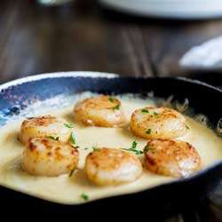 Pan Seared Scallops with a Saffron Cream Sauce