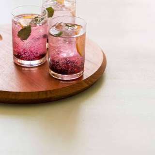 Blackberry and Meyer Lemon Gin and Tonics
