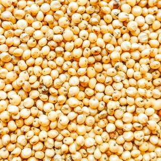 How to Cook Sorghum