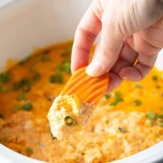 Crockpot Buffalo Chicken Dip Recipe