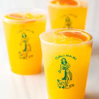 Sunny D Vodka Seltzer Recipe