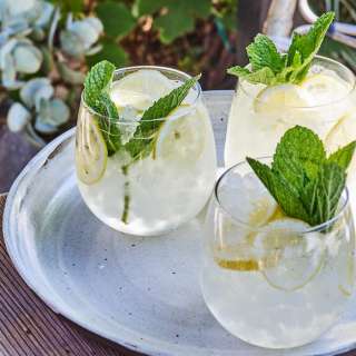 White Wine Spritzer