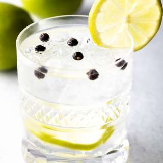 The Best Gin and Tonic Recipe + VIDEO