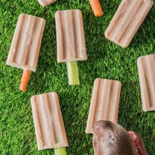 Easy Homemade Pupsicles (Dogs Popsicles!)