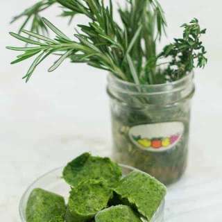 Cilantro pesto and how to preserve fresh herbs through the winter