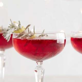 Pomegranate Champagne Spritzer