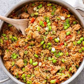 Teriyaki Chicken and Rice