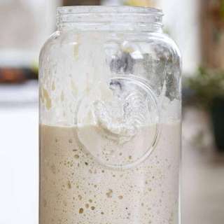 Sourdough Starter