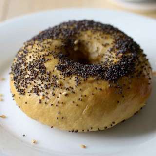 Bagel