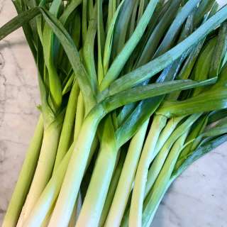 How to Freeze Leeks
