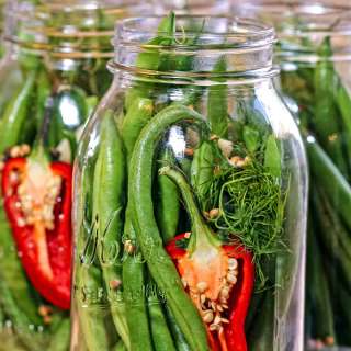 Dill Pickled Green Beans
