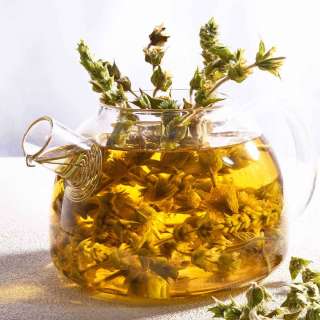 Greek Mountain Tea