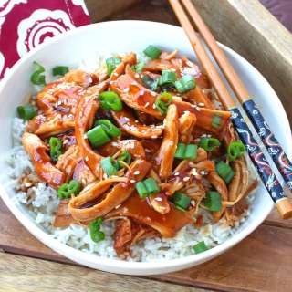 Slow Cooker Teriyaki Chicken