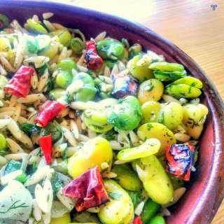 Broad Bean Salad Recipe With Orzo