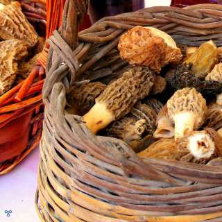 Crispy Sauteed Morel Mushrooms