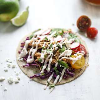 Beer Braised Chipotle Chicken Tacos