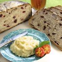Cranberry Pecan Five Minute Artisan Bread