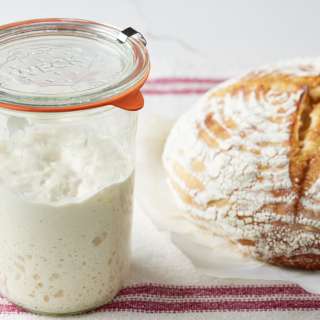 Sourdough Starter Recipe
