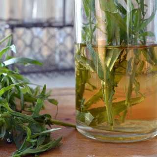 DIY Tarragon Vinegar