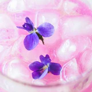 Wild Violet Lemonade