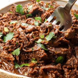Mexican Shredded Beef