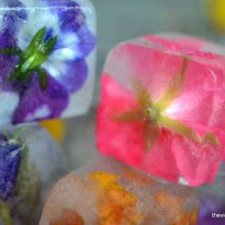 Flower Ice Cubes
