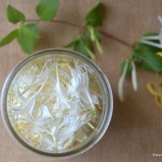 Honeysuckle Iced Tea