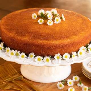 Ridiculously Easy Orange Olive Oil Cake