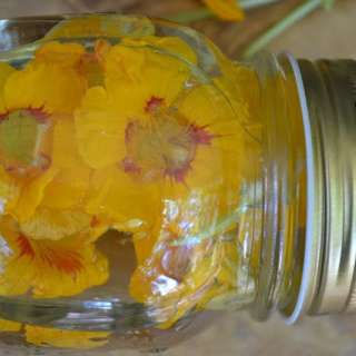 Edible Flower Infused Vinegar
