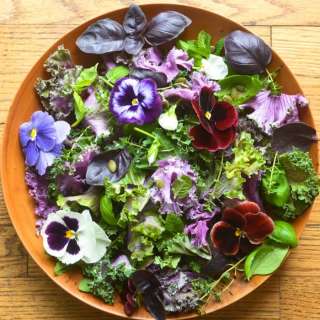 Purple Kale and Pansy Salad
