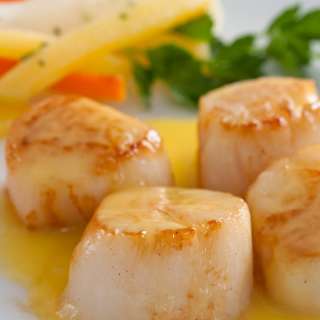 Pan Seared Scallops