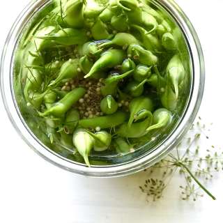 Refrigerator Dilly Beans