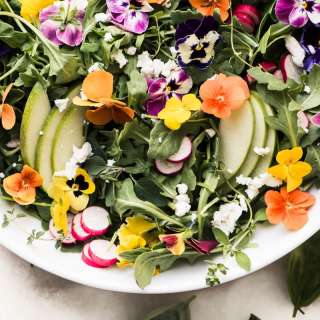 Pansy Salad