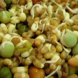 Mixed Sprouts | How To Make Mixed Sprouts