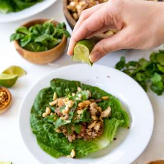 Easy Vegan Lettuce Wraps