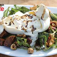 Burrata Salad
