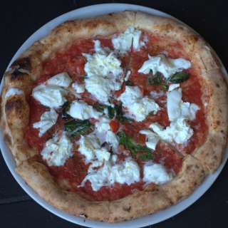 Neapolitan Pizza Dough for Beginners