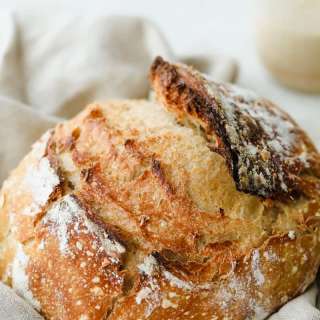 Sourdough Starter and Bread