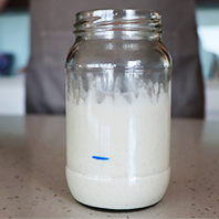 Sourdough Starter