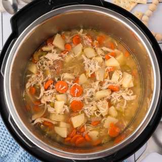 Instant Pot Chicken Stew