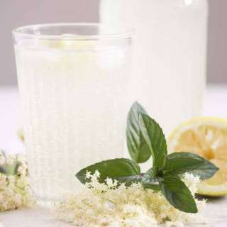Non-Alcoholic Elderflower Champagne (Elderflower Juice)