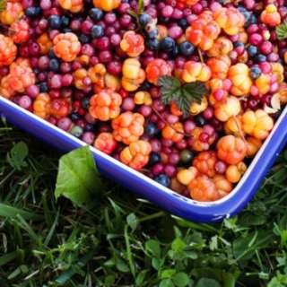 Bay de Verde Mixed Wild Berry Jam